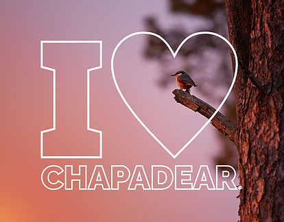 Coleção I Love Chapadear (3)